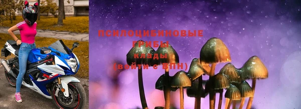 прущий лед Алексин