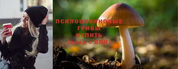 прущий лед Алексин