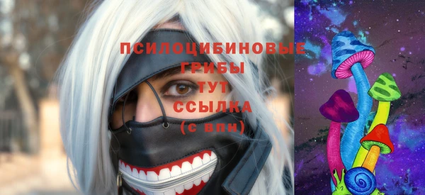 прущий лед Алексин