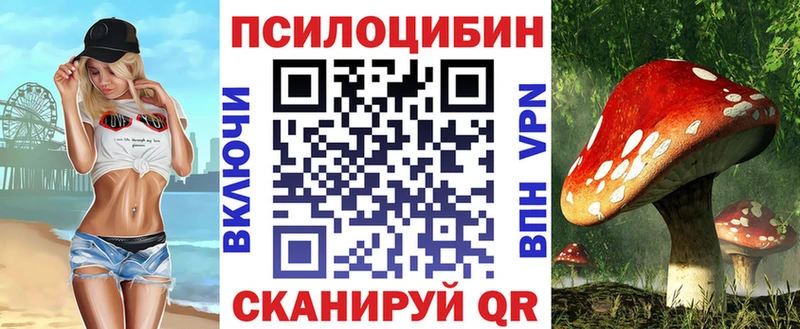 Псилоцибиновые грибы Psilocybe  Злынка 